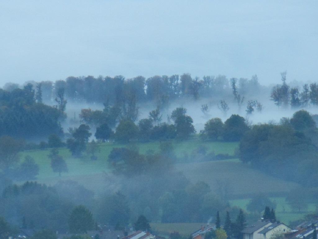 Möge die Pandemie, die zum Jahreswechsel immer noch wie ein Schleier über unserem Land lag, im neuen Jahr besiegt werden.